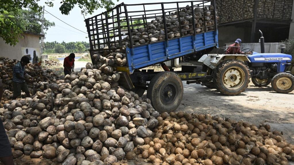 சென்டர் 2025 ஆம் ஆண்டிற்கான கோப்ராவுக்கான எம்எஸ்பியை 20 420 வரை உயர்த்துகிறது சென்டர் 2025 ஆம் ஆண்டிற்கான கோப்ராவுக்கான எம்எஸ்பியை 20 420 வரை உயர்த்துகிறது