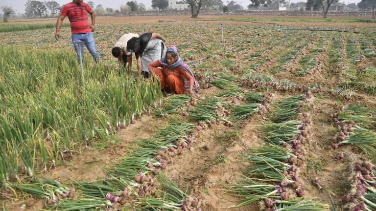 விவசாயிகளின் வருமானத்தை மேம்படுத்துவதற்காக விவசாயத்திற்கான ஒருங்கிணைந்த அணுகுமுறைக்கு முக்கியத்துவம்