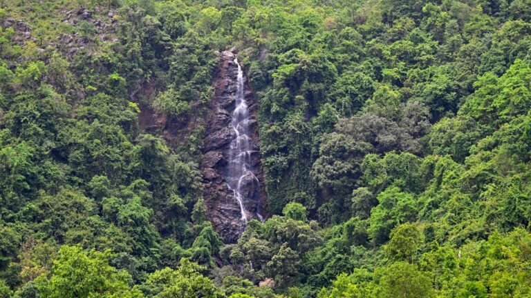 பருவமழை தப்பிக்கிறது: ஆந்திராவின் கிழக்குத் தொடர்ச்சியில் நான்கு அதிர்ச்சியூட்டும் நீர்வீழ்ச்சிகளைக் கண்டறியவும்