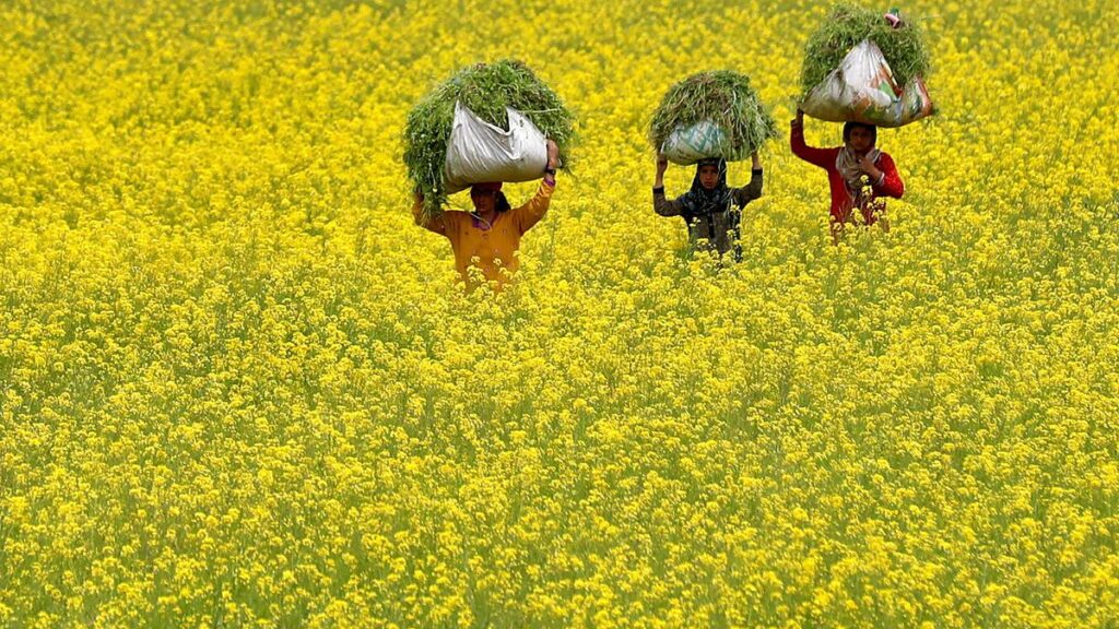 ஒரு தடை, பிளவு தீர்ப்பு மற்றும் சுகாதார அக்கறை ஒரு தடை, பிளவு தீர்ப்பு மற்றும் சுகாதார அக்கறை