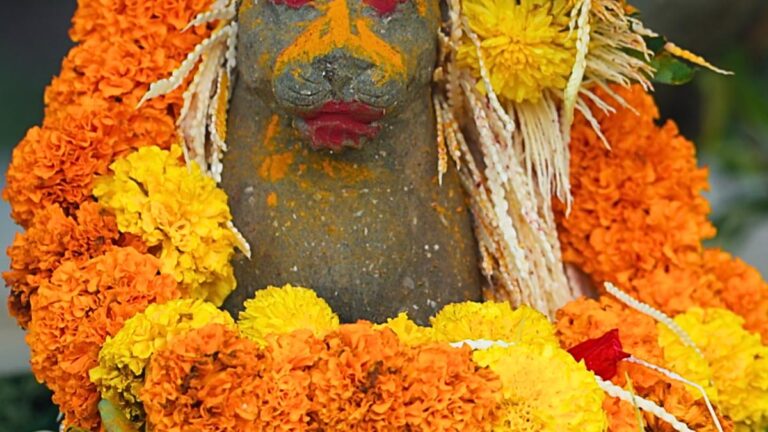 ‘உள்ளூர் மக்கள் வனவிலங்குகளை இந்த அளவிற்கு பாதுகாக்கும் திறன் கொண்டவர்கள் என்பது மனதைக் கவரும்’